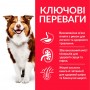 Сухой корм для собак Hill's (Хиллс) Science Plan Mature Adult 7+ Medium Lamb 2.5 кг