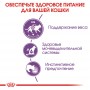 Вологий корм для котів Royal Canin (Роял Канін) Sterilised Jelly 85 г