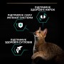 Cухой корм для котов Purina Pro Plan Cat Original Adult Chiсken 0.4 кг