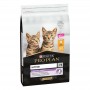 Сухий корм для кошенят Purina Pro Plan Original Kitten Chicken 1.5 кг