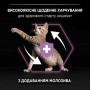 Сухий корм для кошенят Purina Pro Plan Original Kitten Chicken 1.5 кг