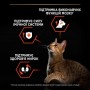 Сухий корм для котів Purina Pro Plan Cat Original Adult Salmon 10 кг
