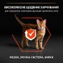 Сухий корм для котів Purina Pro Plan Cat Original Adult Salmon 10 кг
