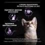 Сухий корм для кошенят Purina Pro Plan Original Kitten Chicken 10 кг