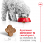 Сухой корм для собак Royal Canin (Роял Канин) Mini Adult +8 4 кг
