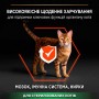 Сухий корм для котів Purina Pro Plan (Пуріна Про План) Cat Sterilised Salmon 3 кг