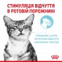 Вологий корм для котів Royal Canin (Роял Канін) Sensory Feel in gravy 85 г
