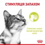 Вологий корм для котів Royal Canin Sensory Smell Chunks in jelly 85 г