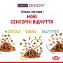 Вологий корм для котів Royal Canin Sensory Smell Chunks in jelly 85 г