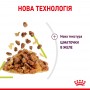 Вологий корм для котів Royal Canin Sensory Smell Chunks in jelly 85 г