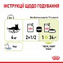 Вологий корм для котів Royal Canin Sensory Smell Chunks in jelly 85 г