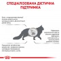 Сухий лікувальний корм для котів Royal Canin (Роял Канін) Hepatic 4 кг
