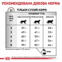 Сухий лікувальний корм для котів Royal Canin (Роял Канін) Hepatic 4 кг