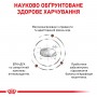 Сухий лікувальний корм для котів Royal Canin (Роял Канін) Hepatic 4 кг