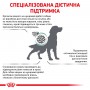 Сухий лікувальний корм для собак Royal Canin Diabetic Dog 1.5 кг