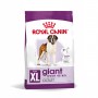 Сухой корм для собак Royal Canin (Роял Канин) Giant Adult 15 кг