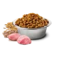 Сухий корм для собак Farmina (Фарміна) Dog Chicken & Pomegranate Adult Light Mini 2.5 кг