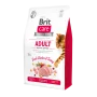 Сухой беззерновой корм для котов Brit Care (Брит Кеа) Cat GF Adult Activity Support 2 кг