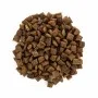 Сухий беззерновий корм для котів Brit Care (Бріт Кеа) Cat GF Sterilized Urinary Health 7 кг