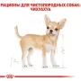 Сухой корм для собак Royal Canin (Роял Канин) Chihuahua Adult 3 кг