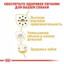 Сухой корм для собак Royal Canin (Роял Канин) Chihuahua Adult 3 кг