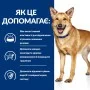 Влажный лечебный корм для собак Hill's Prescription Diet i/d Digestive Care 360 г