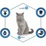 Сухой корм для котов Advance Cat Sterilized Turkey 3 кг