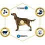 Сухой корм для собак Advance Dog Medium & Maxi Sensitive Lamb & Rice 3 кг