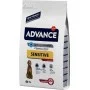 Сухой корм для собак Advance Dog Medium & Maxi Sensitive Lamb & Rice 3 кг
