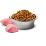 Сухой беззерновой корм для котов Farmina (Фармина) N&D Prime Grain Free Adult Chicken & Pomegranate 10 кг