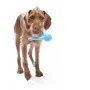 Игрушка для собак West Paw Tizzi Dog Toy Blue 18 см