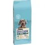 Cухий корм для щенят Purina Dog Chow Large Breed Puppy 14 кг