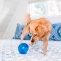 Игрушка для собак Outward Hound Planet Dog Snoop Blue 10 см